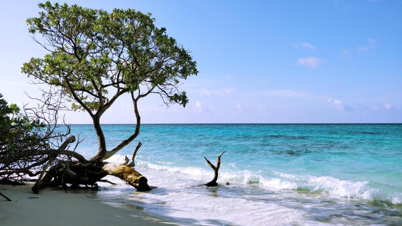 Muraka Inn Thoddoo Buitenkant foto
