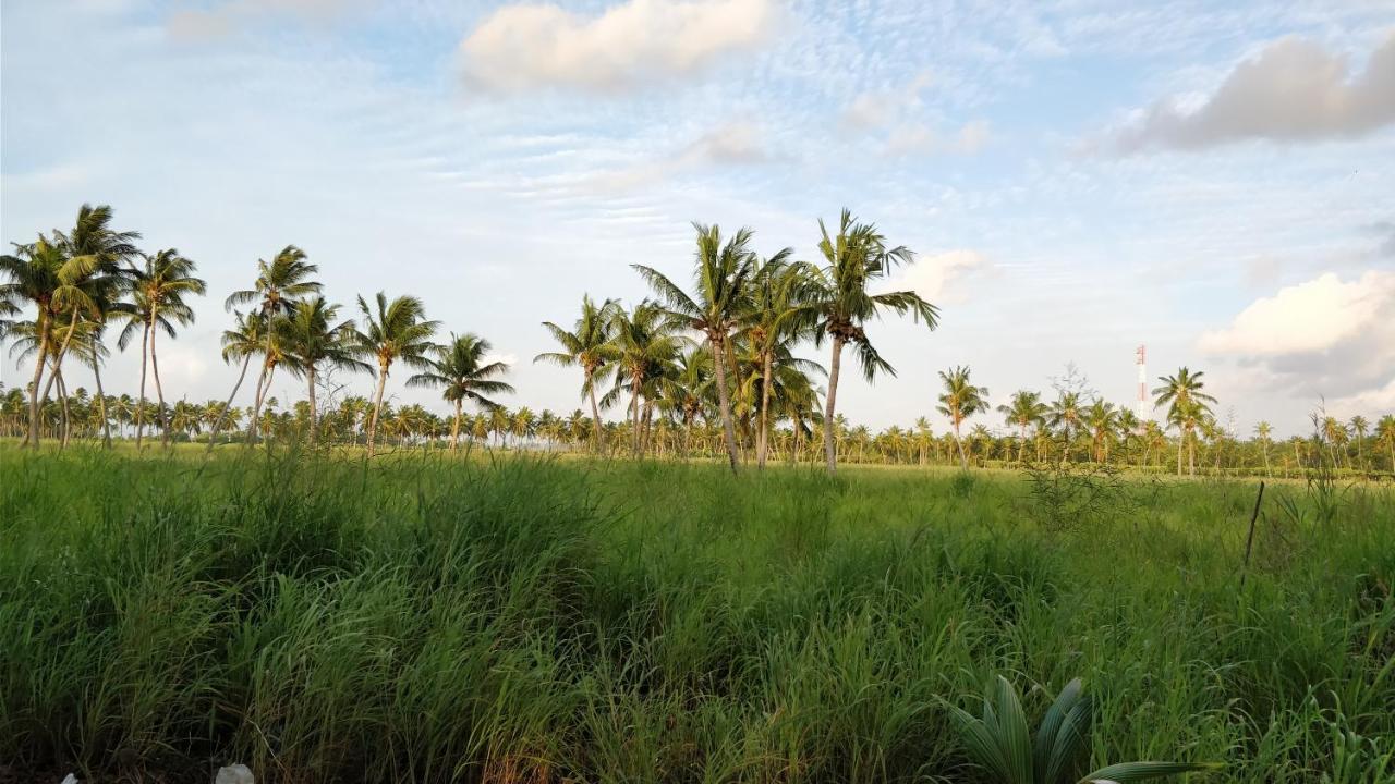 Muraka Inn Thoddoo Buitenkant foto