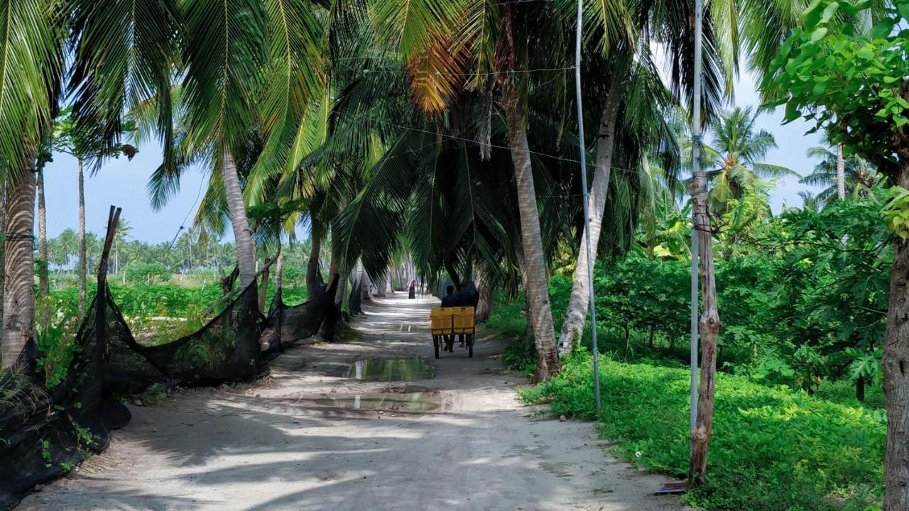 Muraka Inn Thoddoo Buitenkant foto
