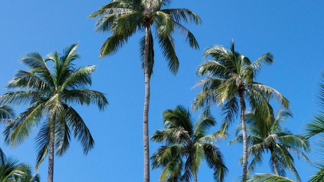 Muraka Inn Thoddoo Buitenkant foto