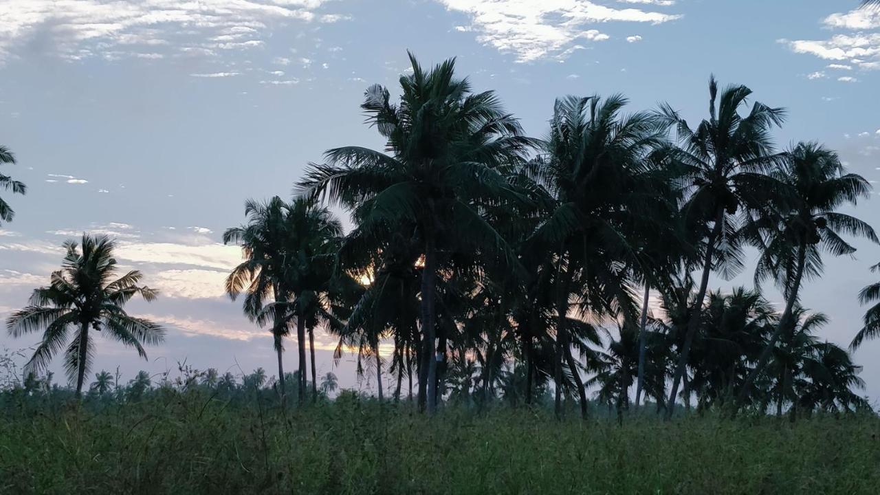 Muraka Inn Thoddoo Buitenkant foto